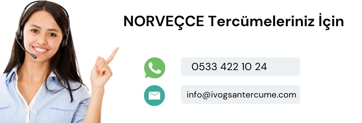 Norveççe Tercüme